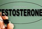 تستسترون چیست